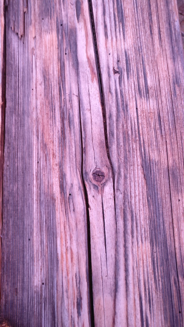 wooden wallpaper