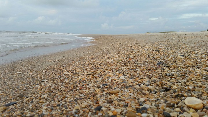 Seashore