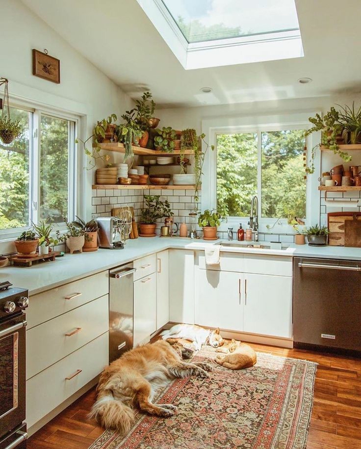 Sunny kitchen