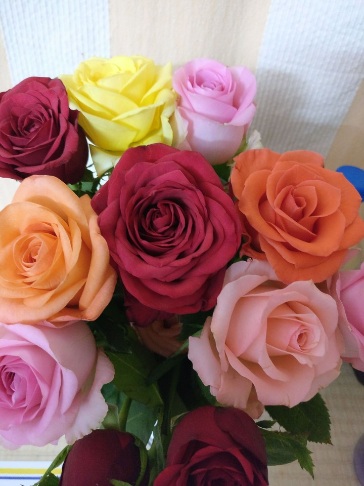 roses