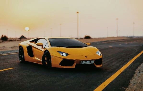 dream