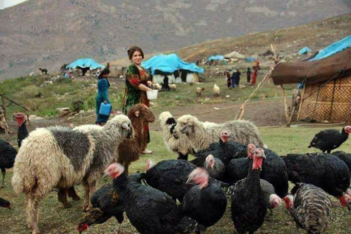 زندگی سالم وزیبا