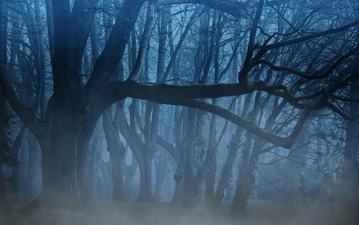 Bosque Tenebroso