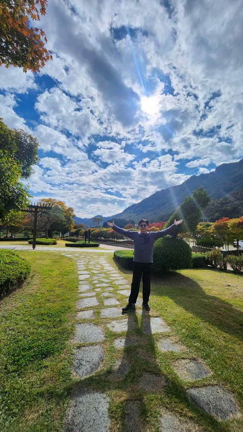 plant, sky वॉलपेपर