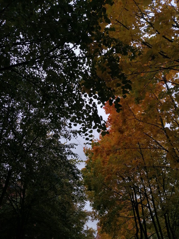 осень