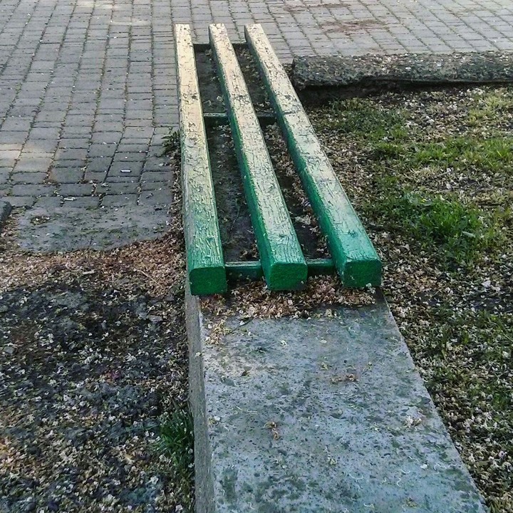 Bench
