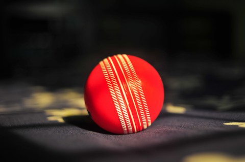 Cricket..