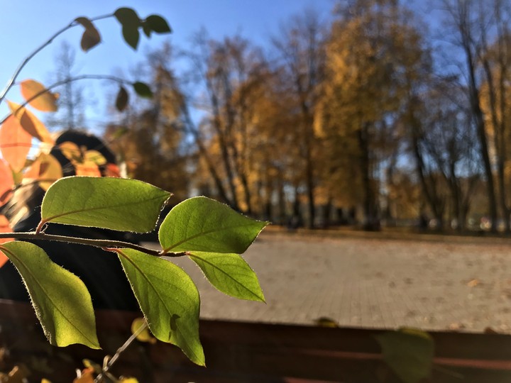 Russian autumn