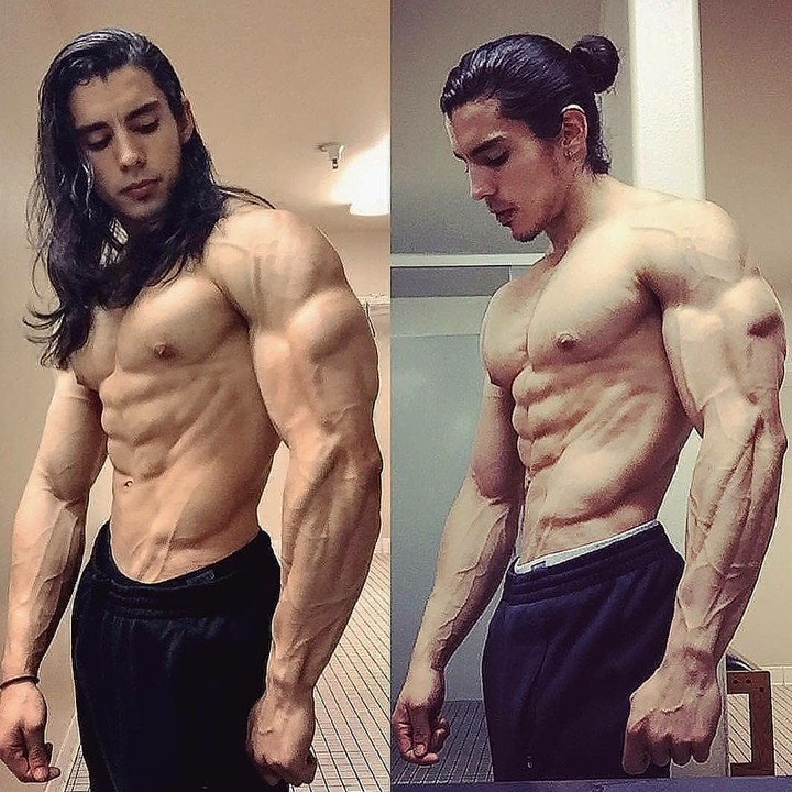 body