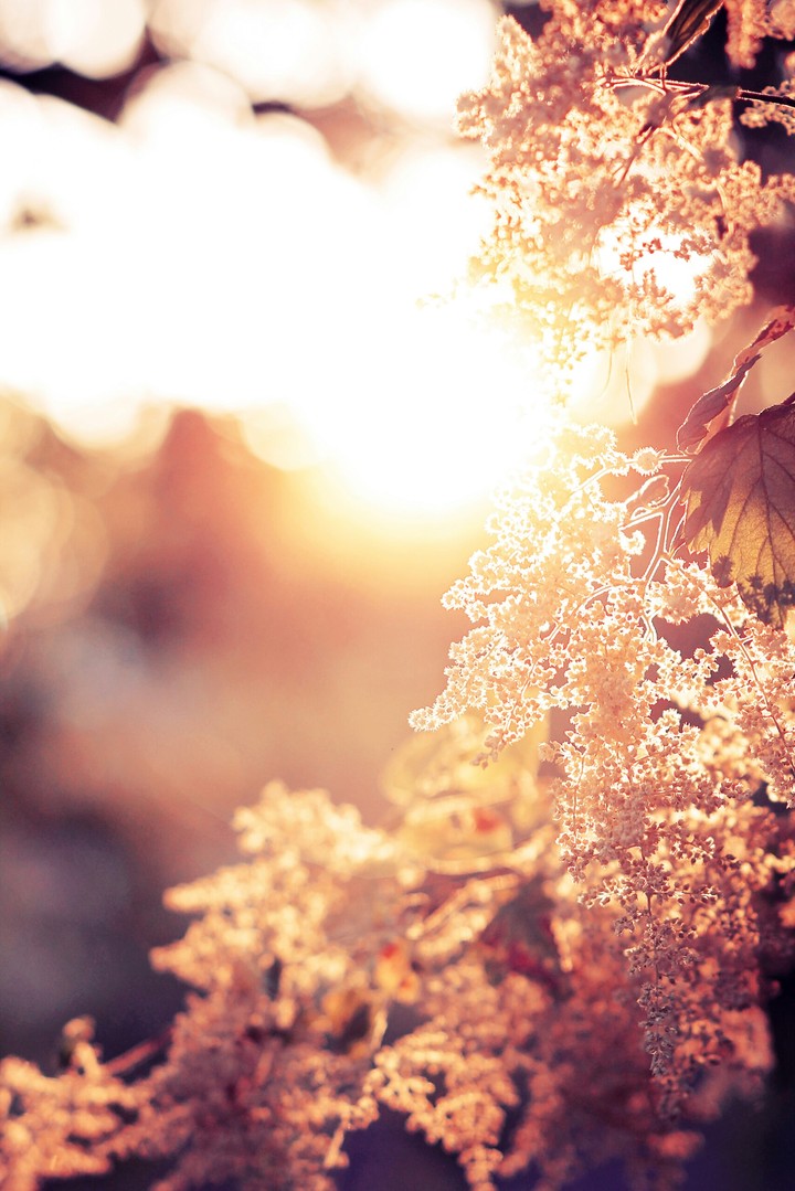 Flicker, Fade