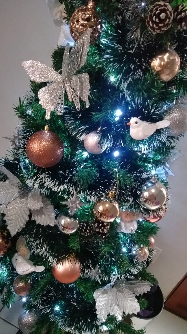 natal 2