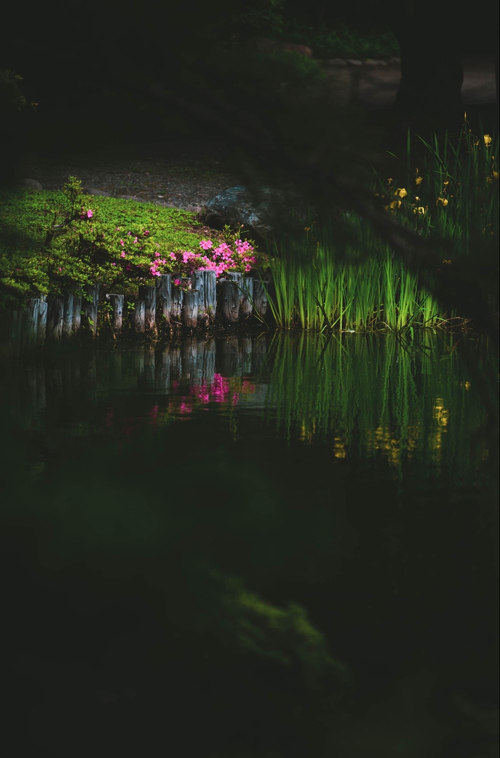 Lake