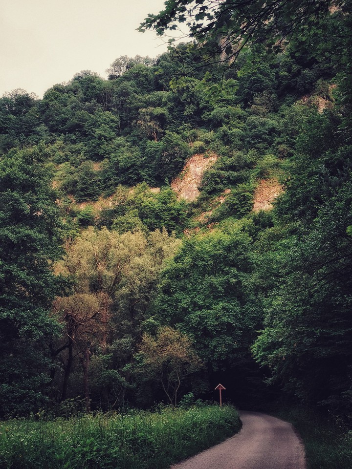 beautiful nature