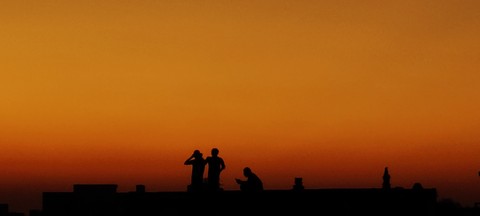 обои sunset, Gesture