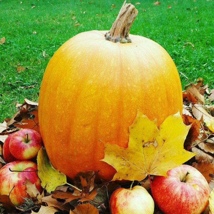 bientôt Halloween !