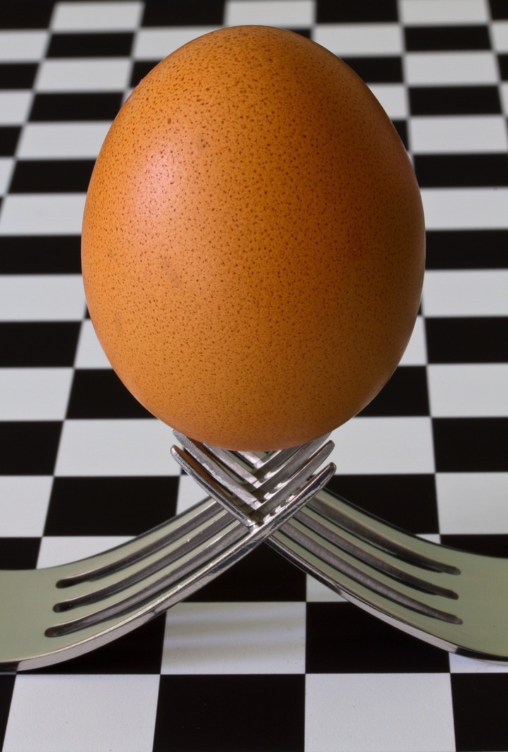 photo of an egg #ogqrecord