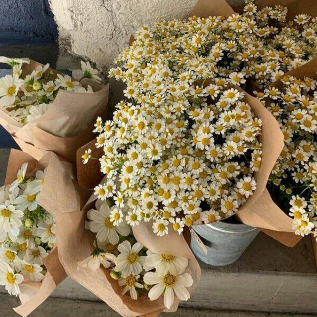 Flowers are always beautiful