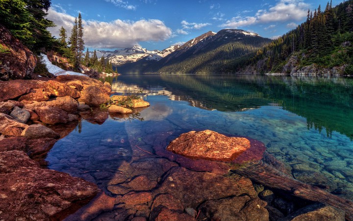 Nature's Beauty