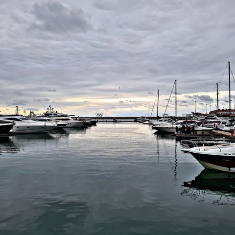 mare