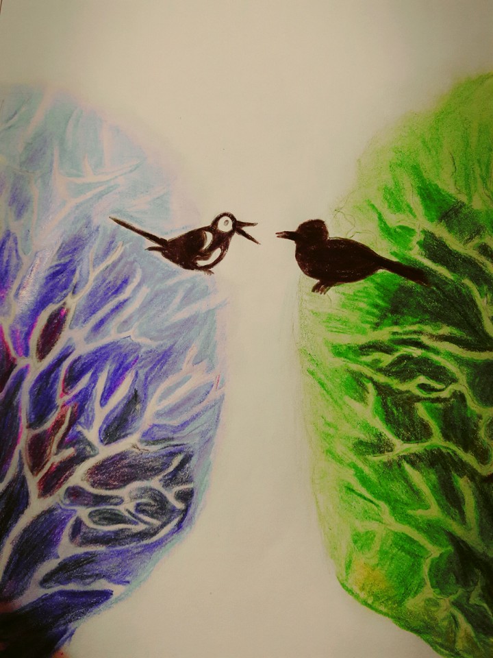 two crowds(draw by me;))))