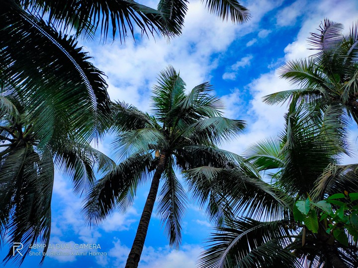 blue sky