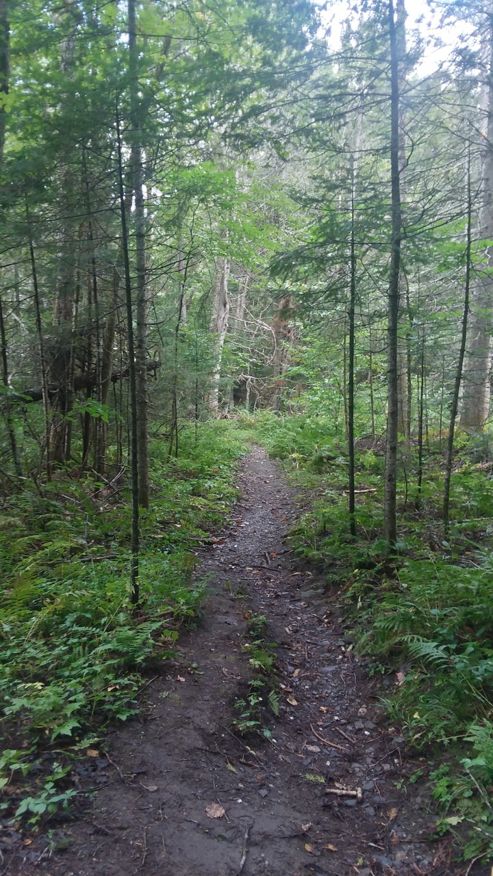 The trail ahead