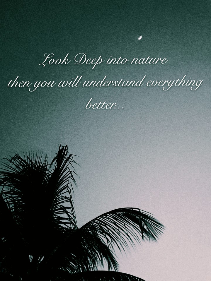 Quotes