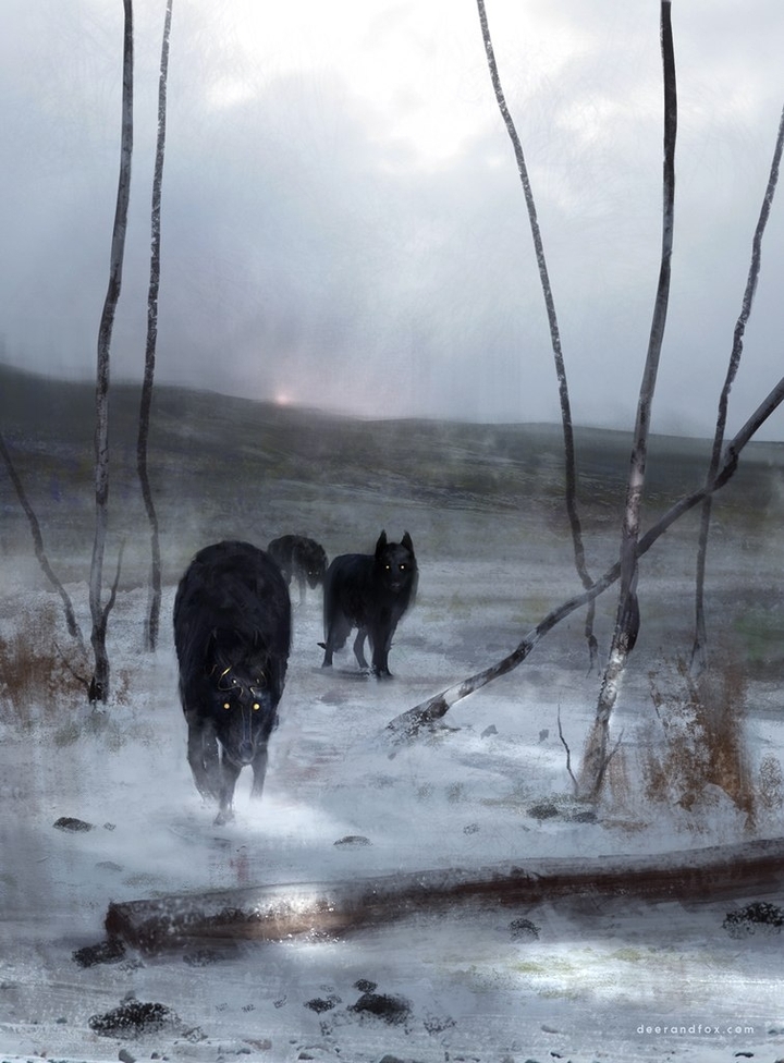 wolves
