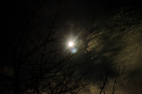 Silvester moon