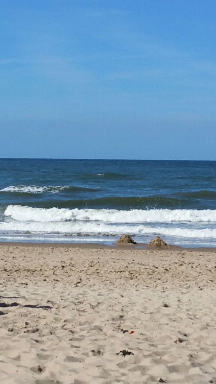Texel