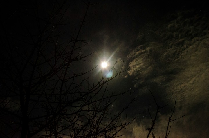 Silvester moon