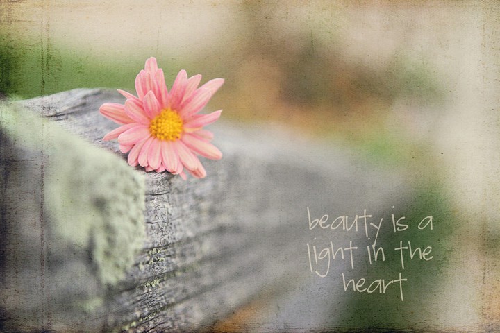 Quotation
