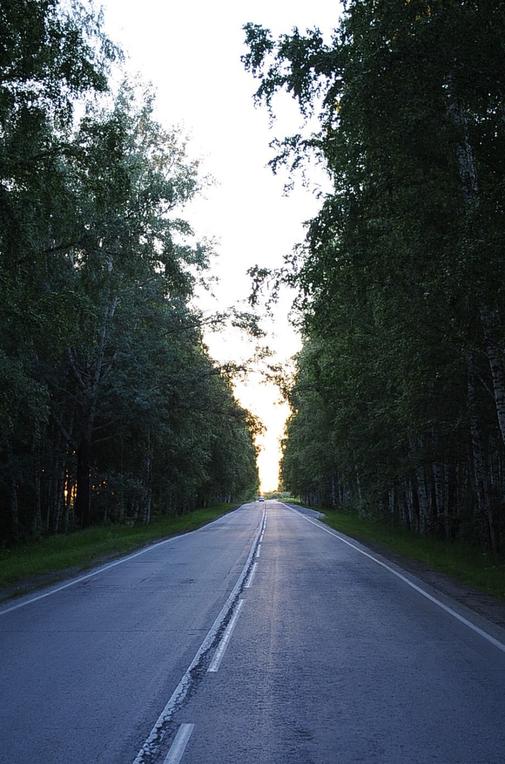 дорога