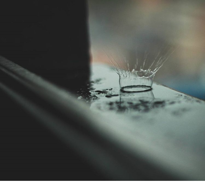 Window