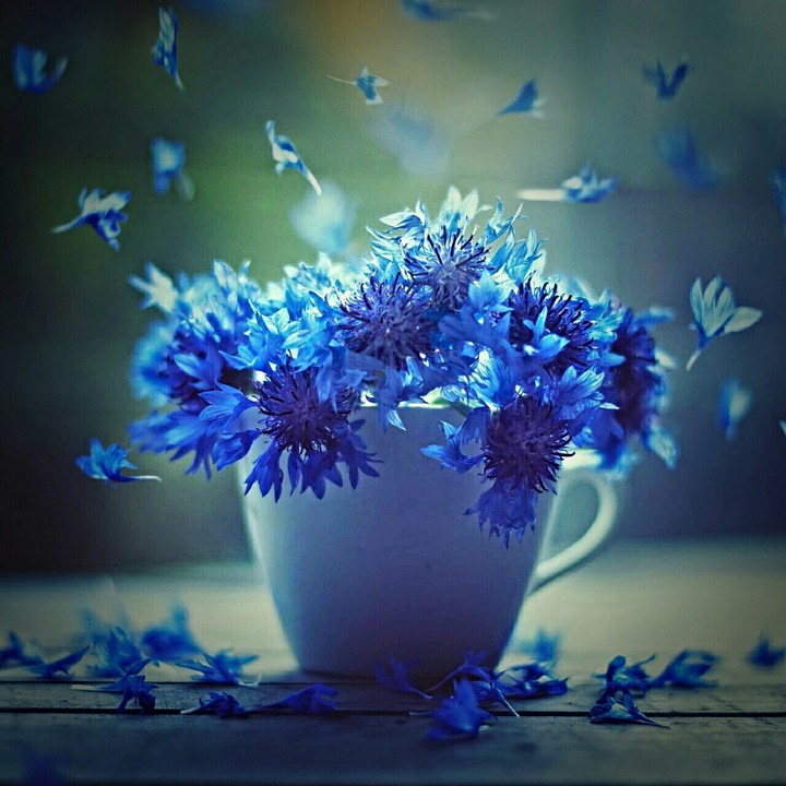 Blue cup