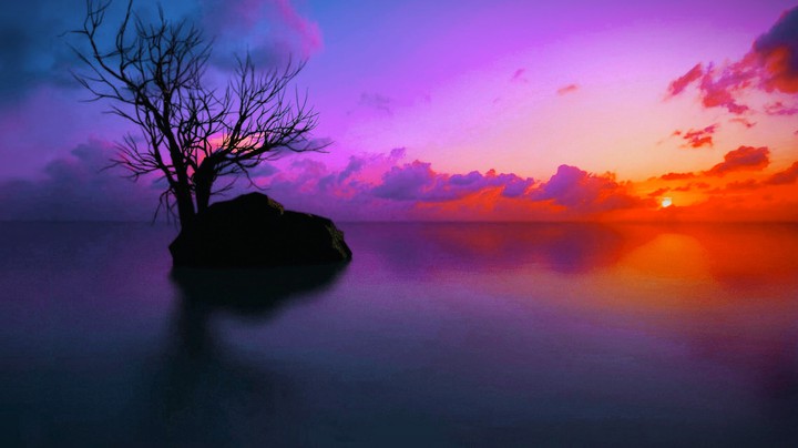 evening