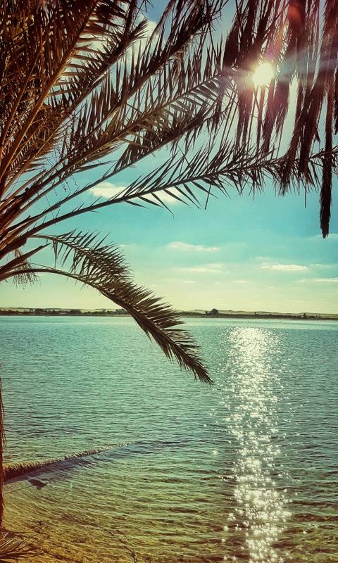 Praia
