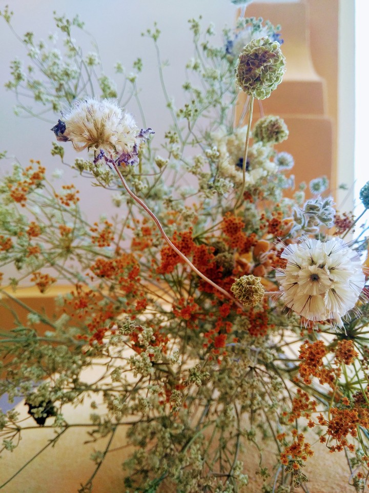 autmn flowers