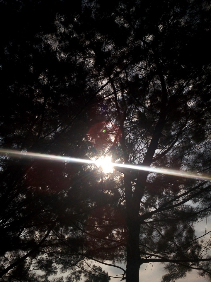 shine