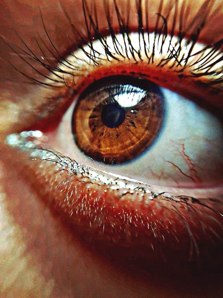 Nature's Eye