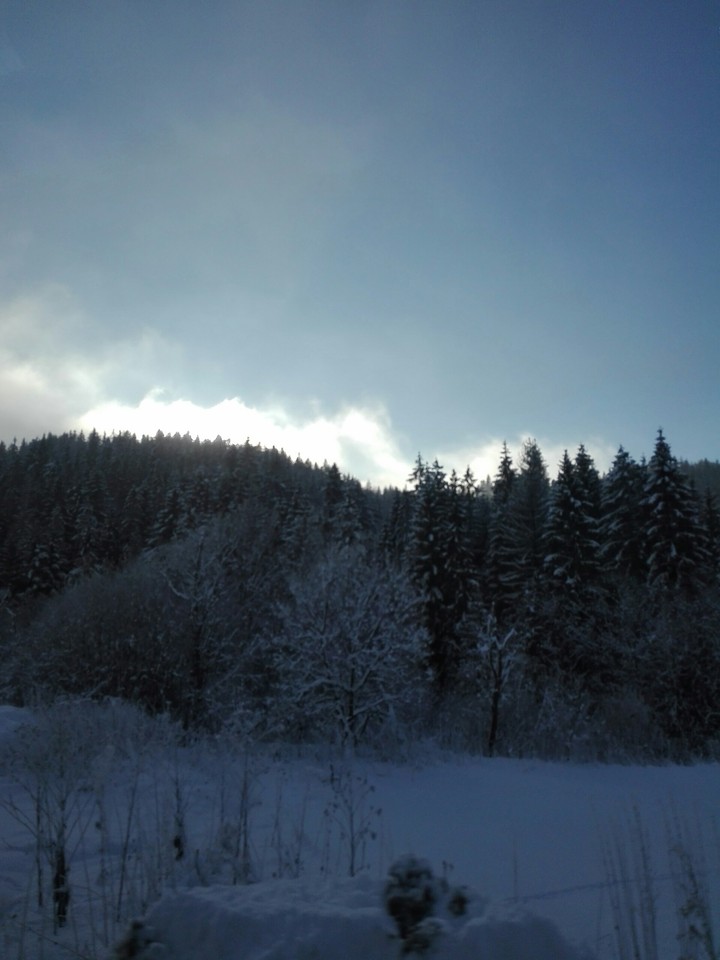 Winter