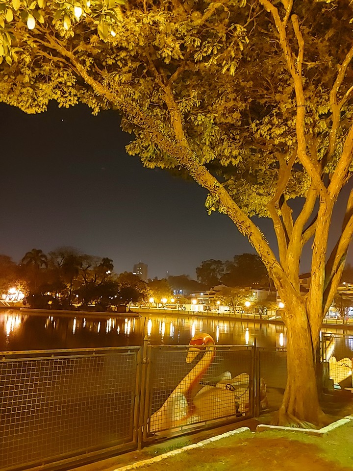Lago dos Patos à noite