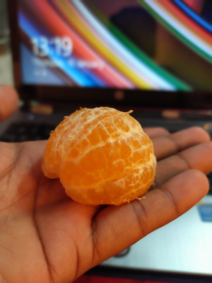Orange 8.1 micro level photography