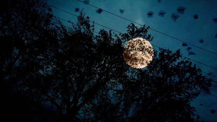 Moon