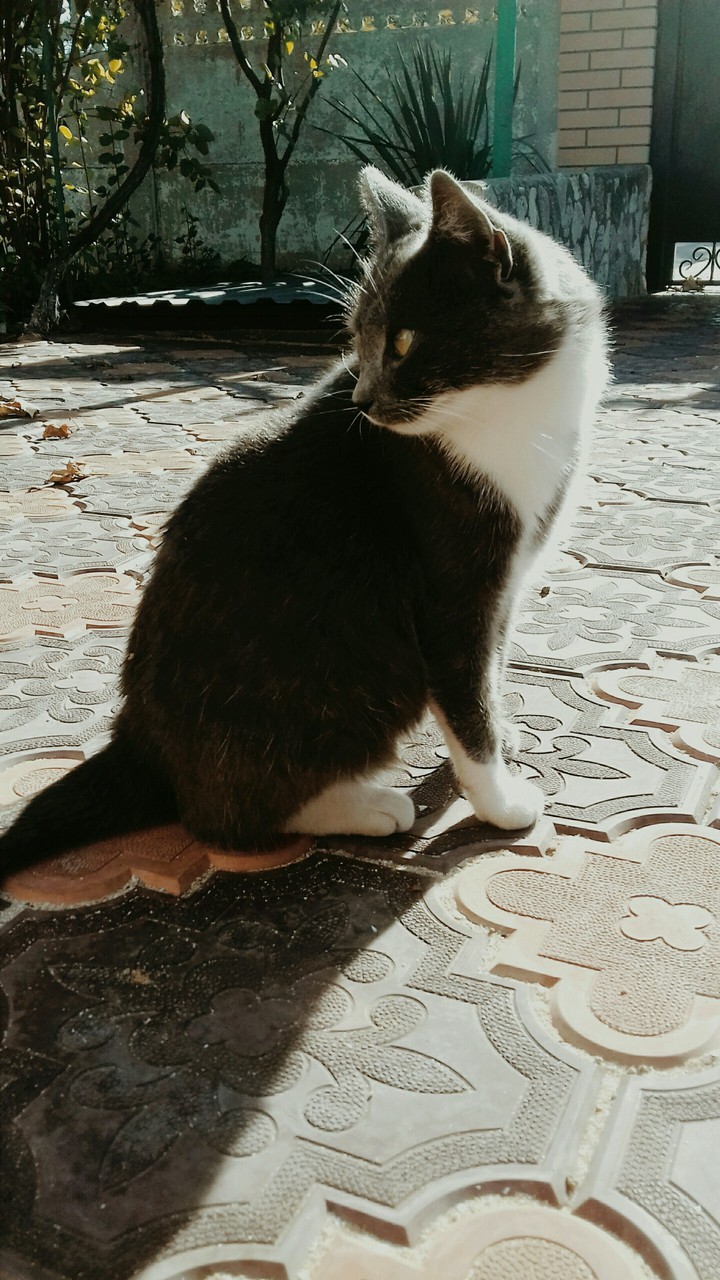 #мойкотейка