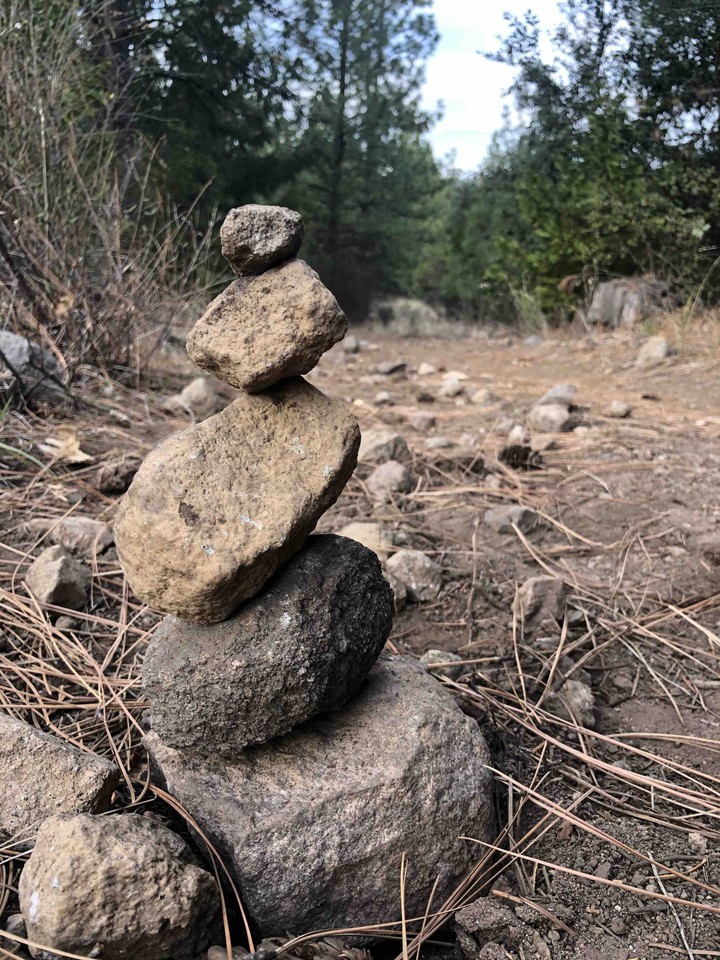 Trail Fun