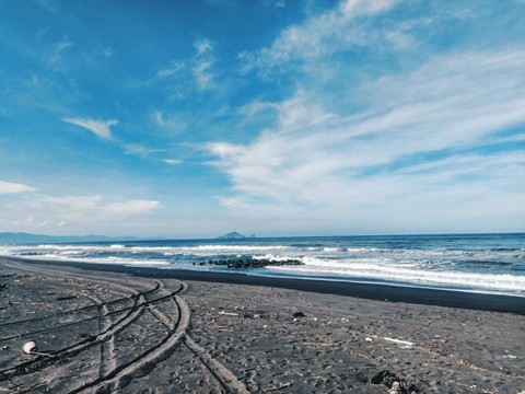 海