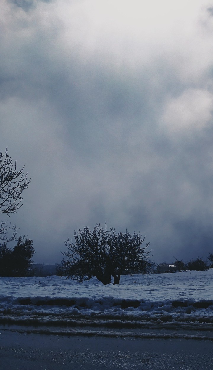 cold & blue