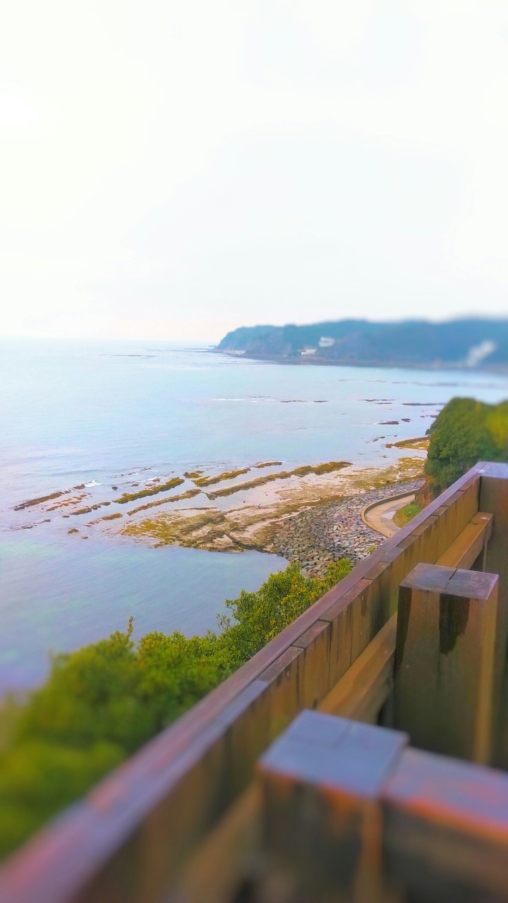 海