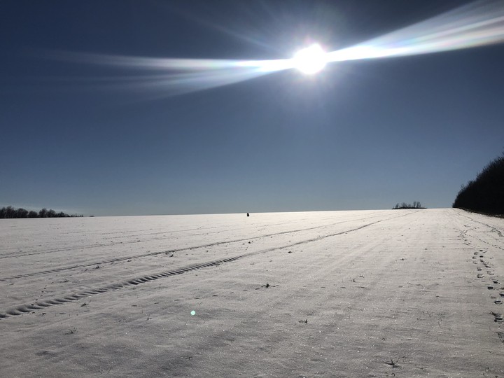 Endless snow field